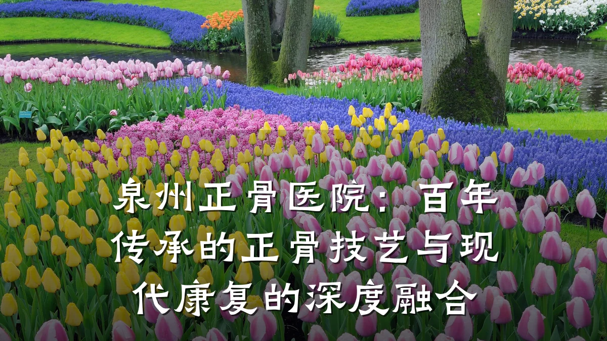 泉州正骨医院:百年传承的正骨技艺与现代康复的深度融合