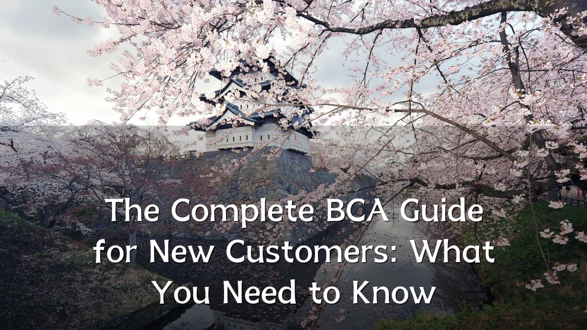 The Complete BCA Guide for New Customers: What You Need to Know