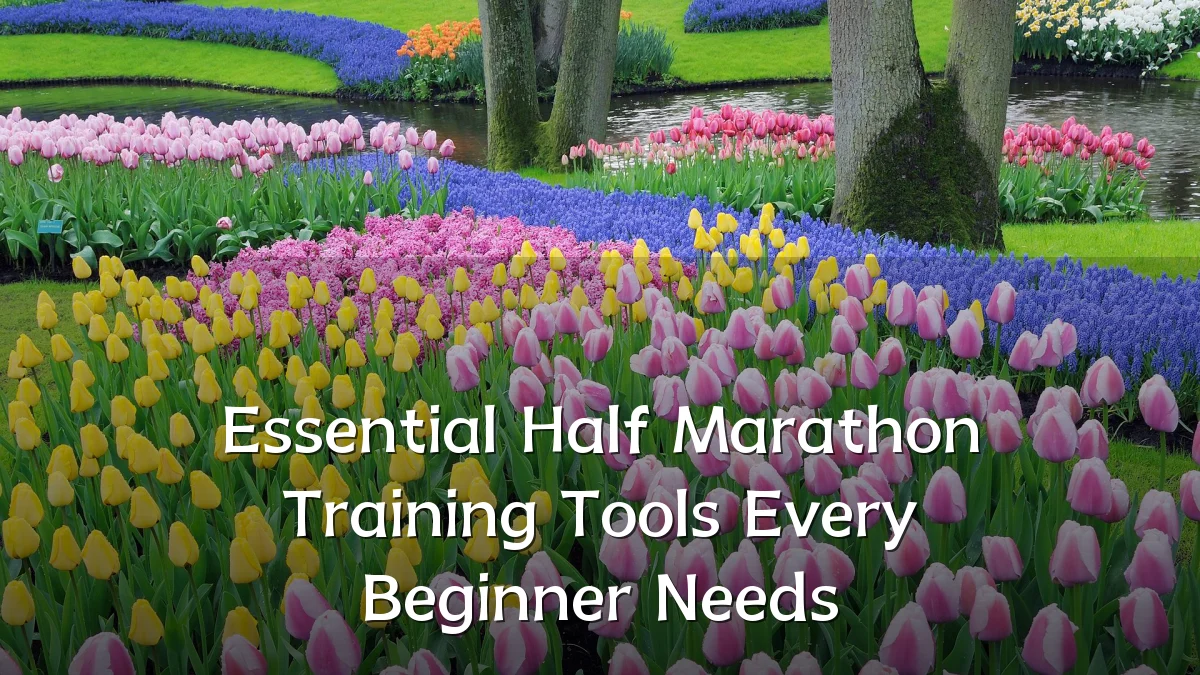 Essential Half Marathon Training Tools Every Beginner Needs