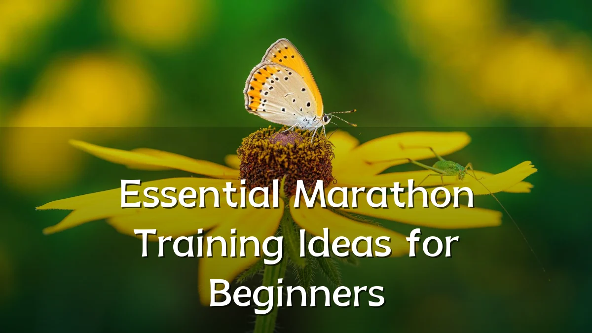Essential Marathon Training Ideas for Beginners