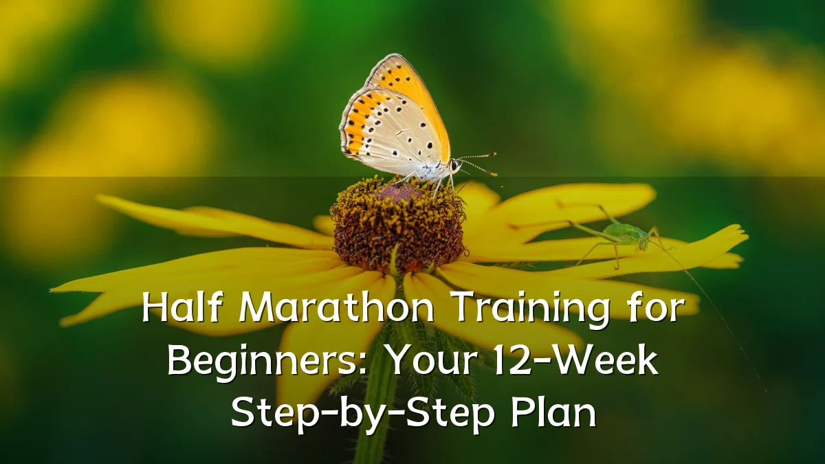 Half Marathon Training for Beginners: Your 12-Week Step-by-Step Plan