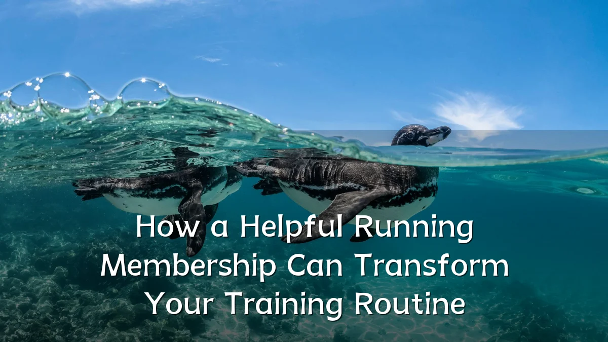 How a Helpful Running Membership Can Transform Your Training Routine