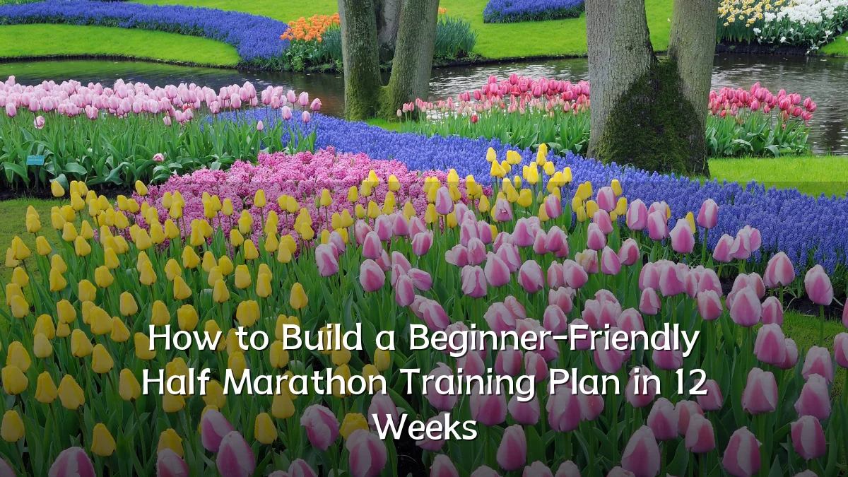 How to Build a Beginner-Friendly Half Marathon Training Plan in 12 Weeks