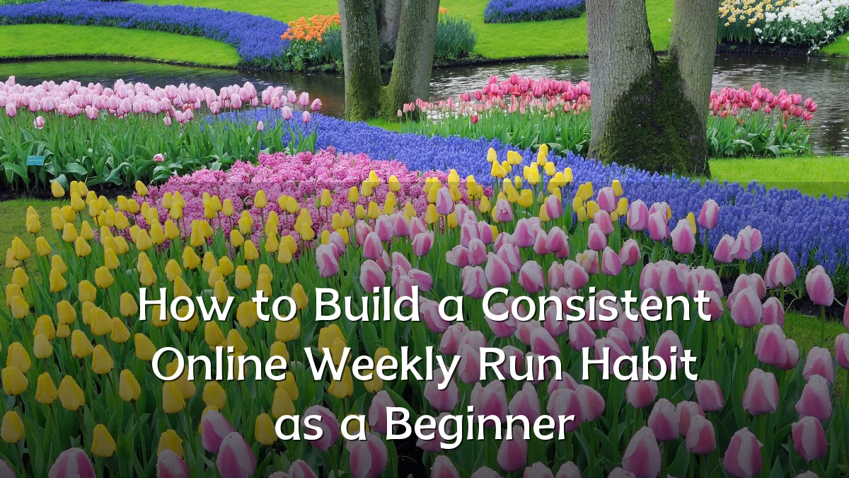 How to Build a Consistent Online Weekly Run Habit as a Beginner