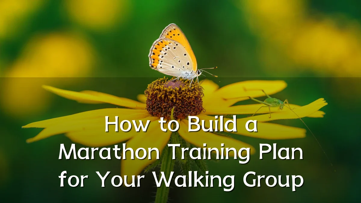 How to Build a Marathon Training Plan for Your Walking Group