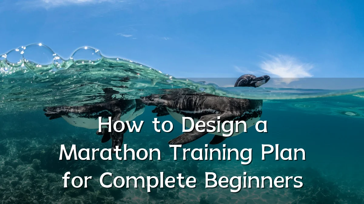 How to Design a Marathon Training Plan for Complete Beginners
