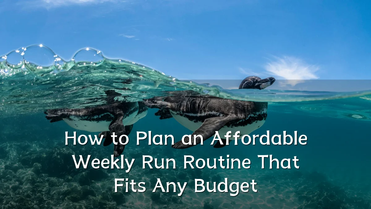 How to Plan an Affordable Weekly Run Routine That Fits Any Budget