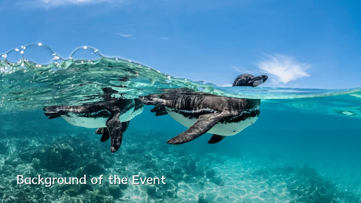 Background of the Event
