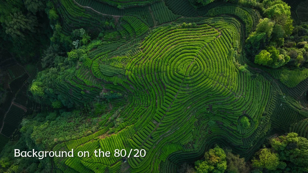 Background on the 80/20