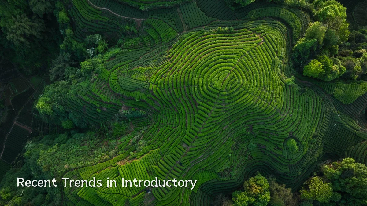 Recent Trends in Introductory