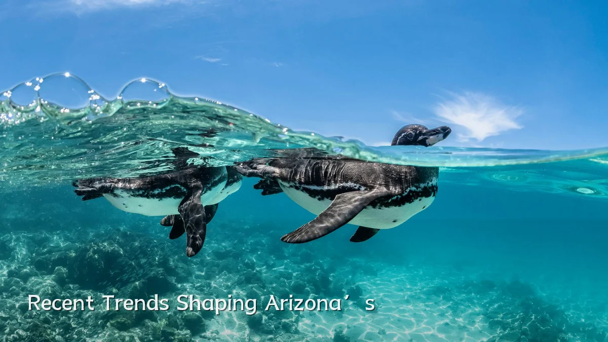 Recent Trends Shaping Arizona’s