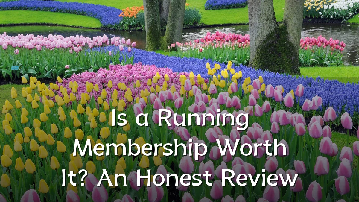 Is a Running Membership Worth It? An Honest Review