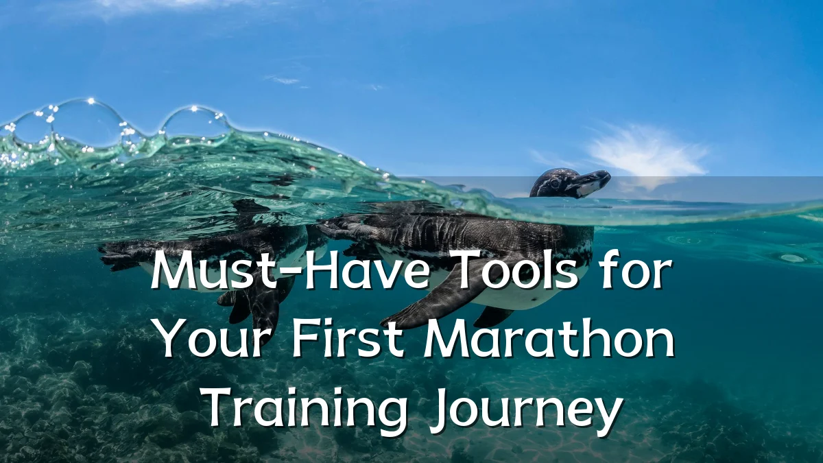 Must-Have Tools for Your First Marathon Training Journey