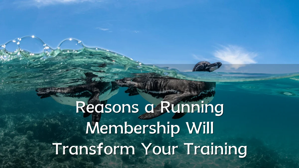 Reasons a Running Membership Will Transform Your Training