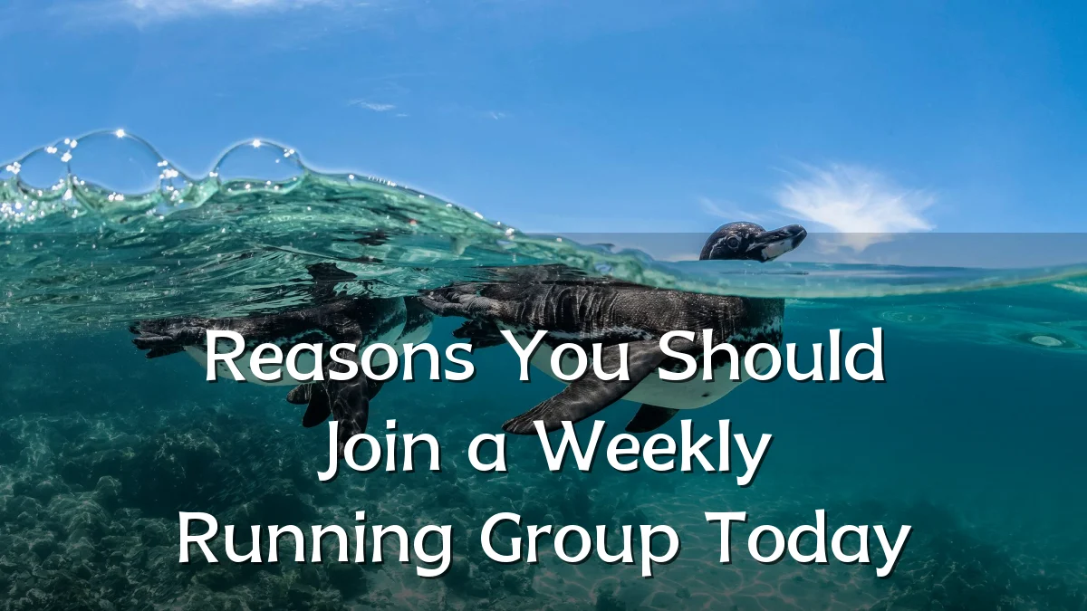 Reasons You Should Join a Weekly Running Group Today