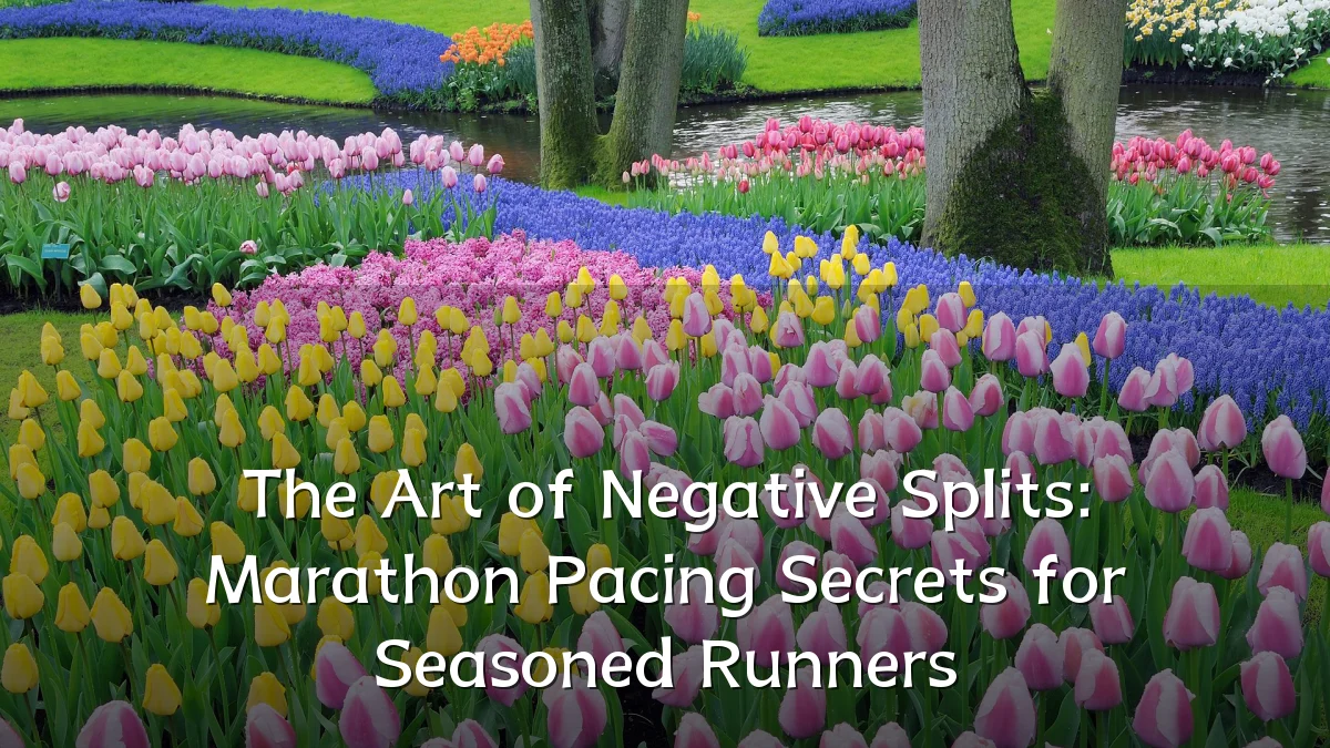The Art of Negative Splits: Marathon Pacing Secrets for Seasoned Runners