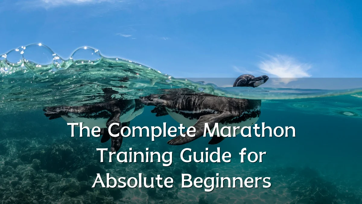 The Complete Marathon Training Guide for Absolute Beginners