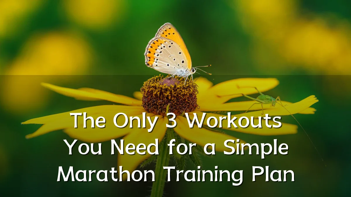 The Only 3 Workouts You Need for a Simple Marathon Training Plan