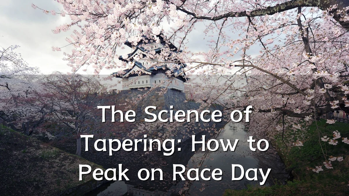 The Science of Tapering: How to Peak on Race Day