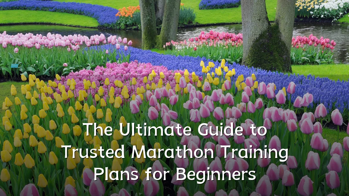 The Ultimate Guide to Trusted Marathon Training Plans for Beginners