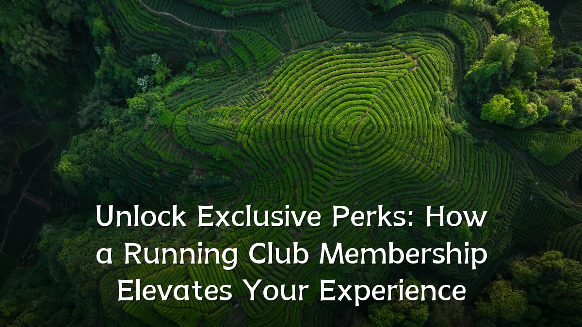 Unlock Exclusive Perks: How a Running Club Membership Elevates Your Experience