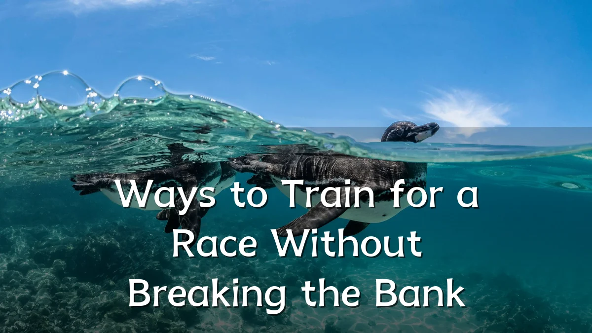 Ways to Train for a Race Without Breaking the Bank