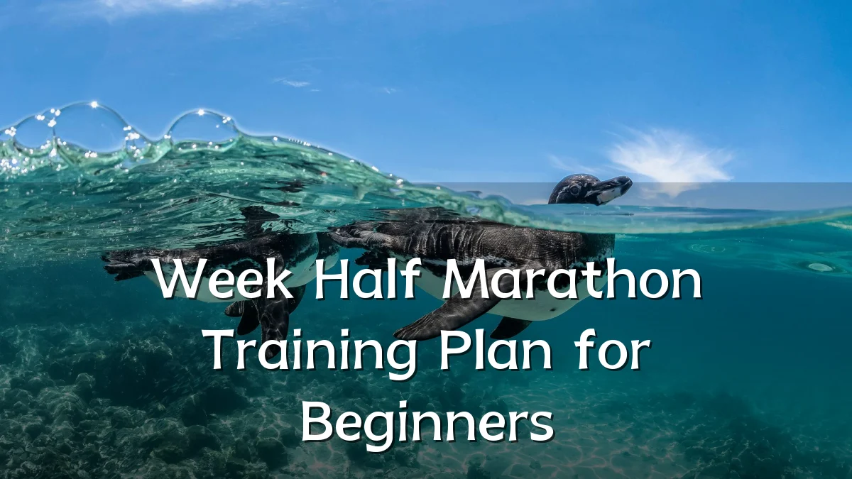 Week Half Marathon Training Plan for Beginners