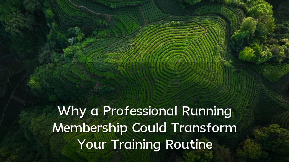 Why a Professional Running Membership Could Transform Your Training Routine