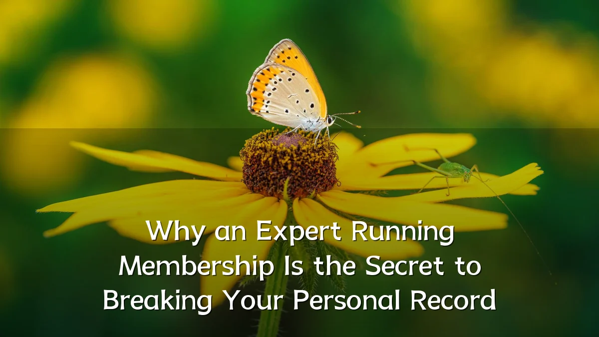 Why an Expert Running Membership Is the Secret to Breaking Your Personal Record