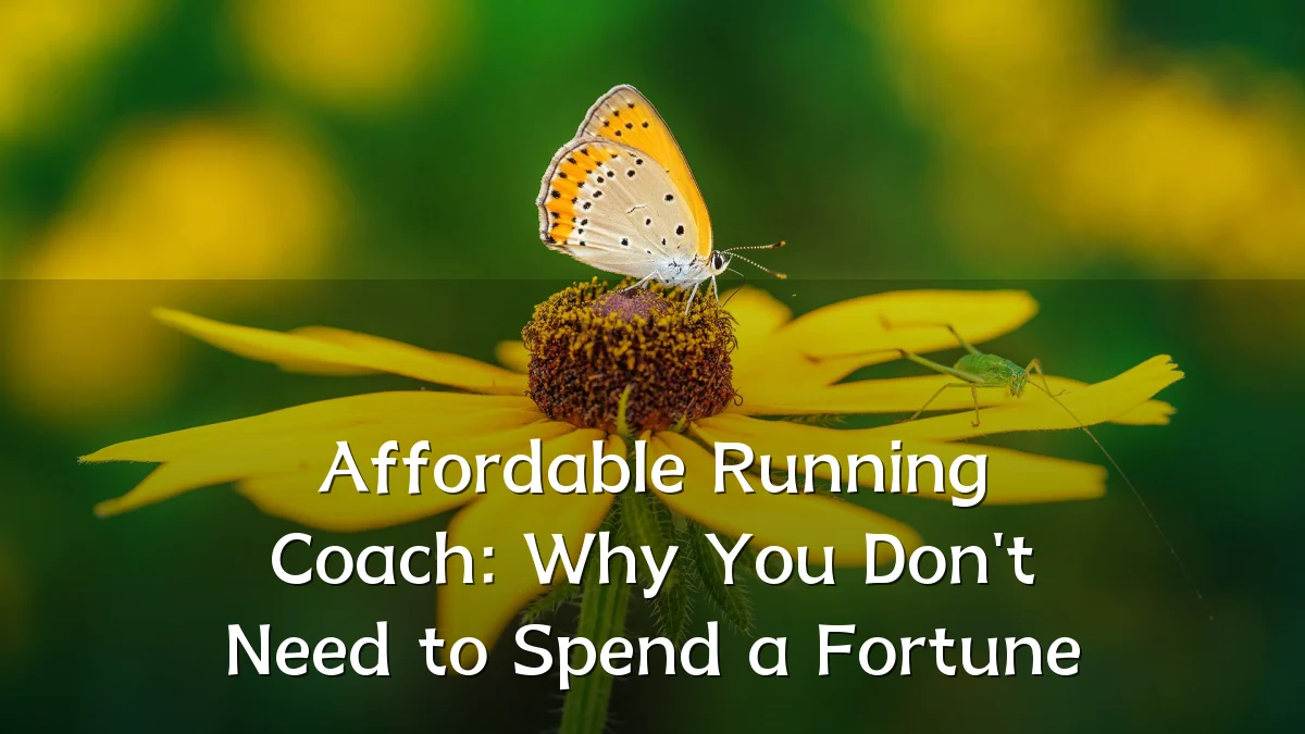 Affordable Running Coach: Why You Don't Need to Spend a Fortune