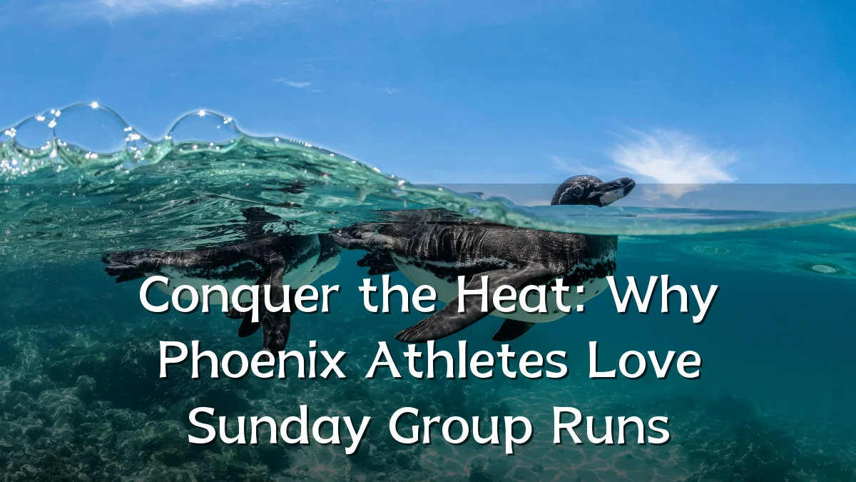 Conquer the Heat: Why Phoenix Athletes Love Sunday Group Runs