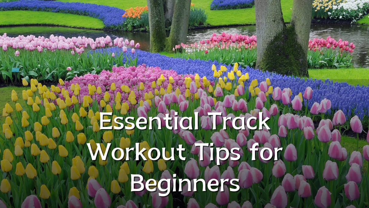 Essential Track Workout Tips for Beginners
