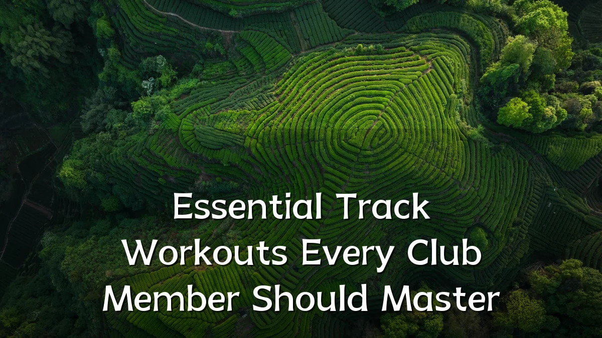 Essential Track Workouts Every Club Member Should Master