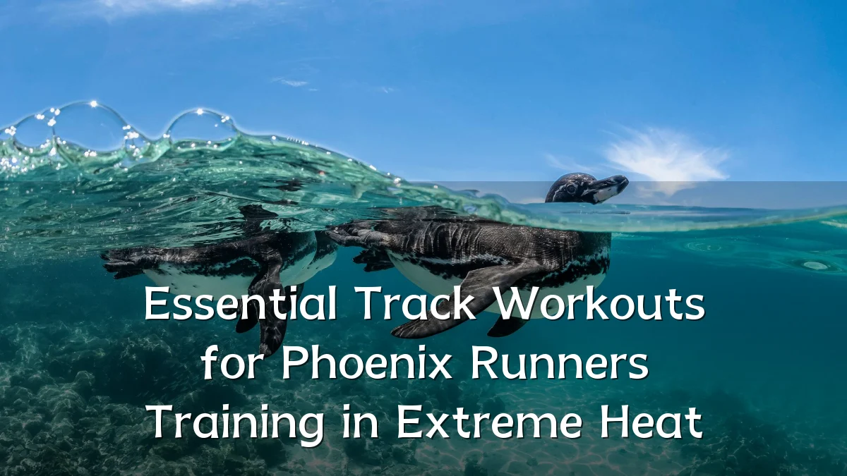 Essential Track Workouts for Phoenix Runners Training in Extreme Heat