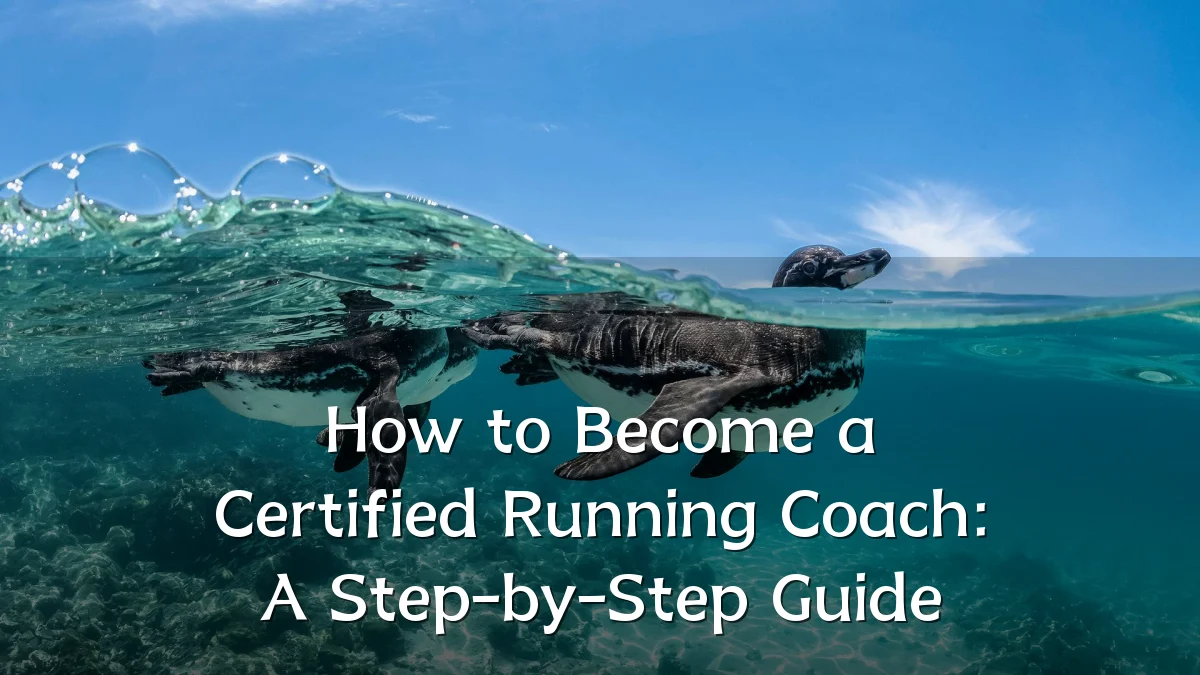 How to Become a Certified Running Coach: A Step-by-Step Guide