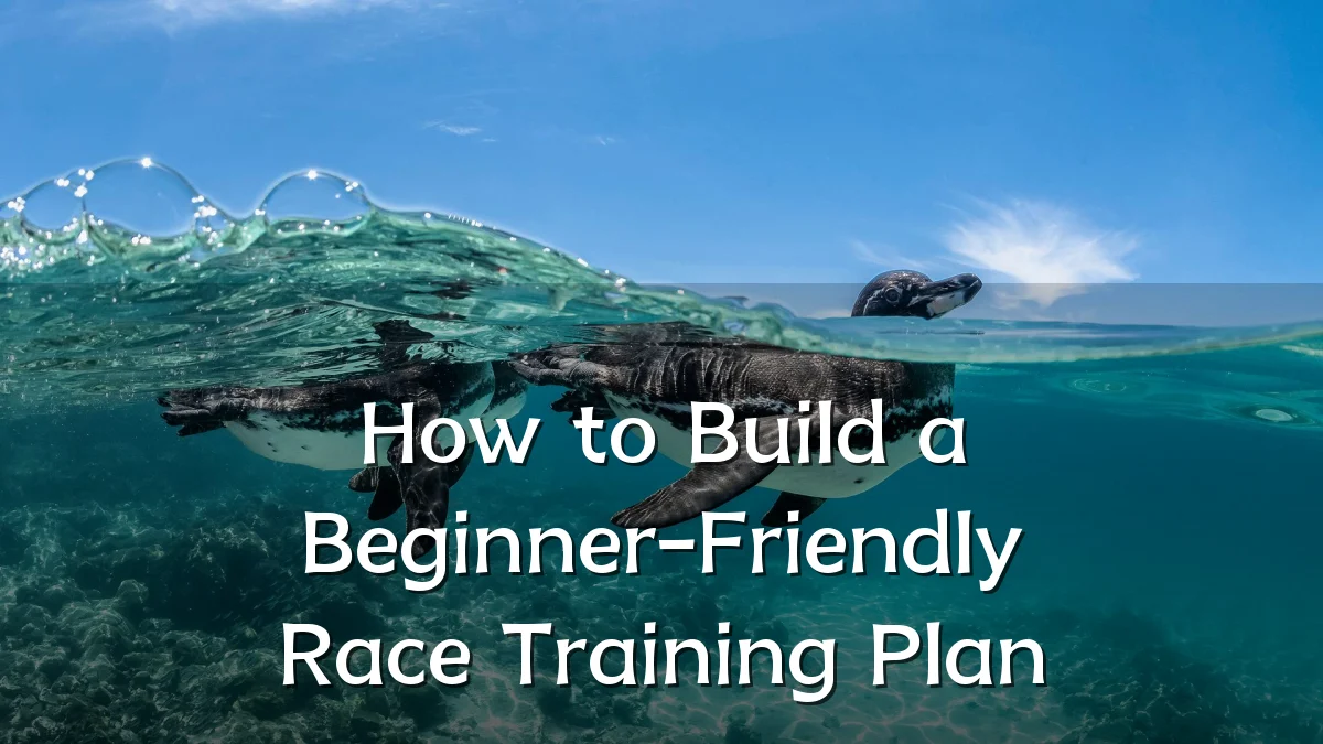 How to Build a Beginner-Friendly Race Training Plan
