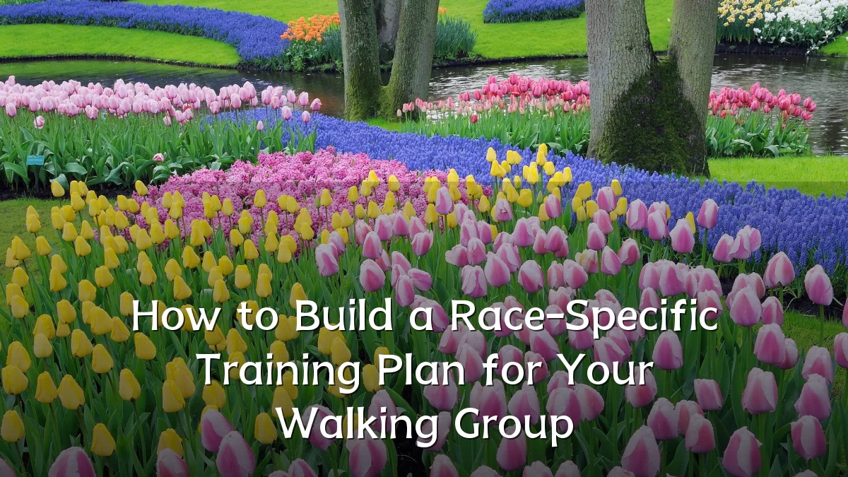 How to Build a Race-Specific Training Plan for Your Walking Group