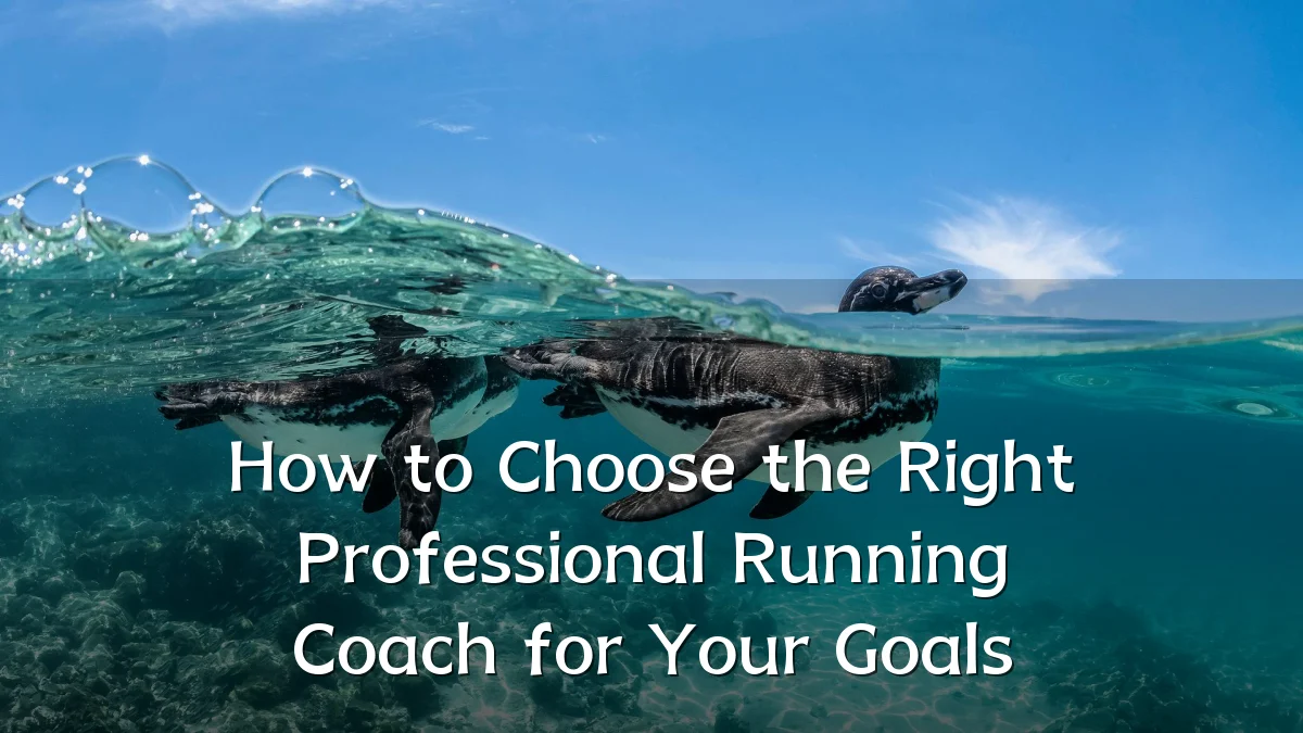 How to Choose the Right Professional Running Coach for Your Goals
