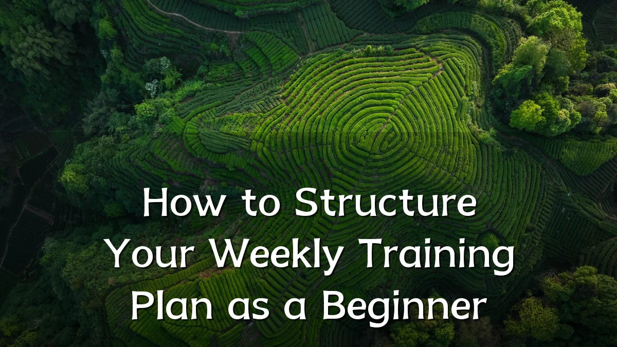 How to Structure Your Weekly Training Plan as a Beginner