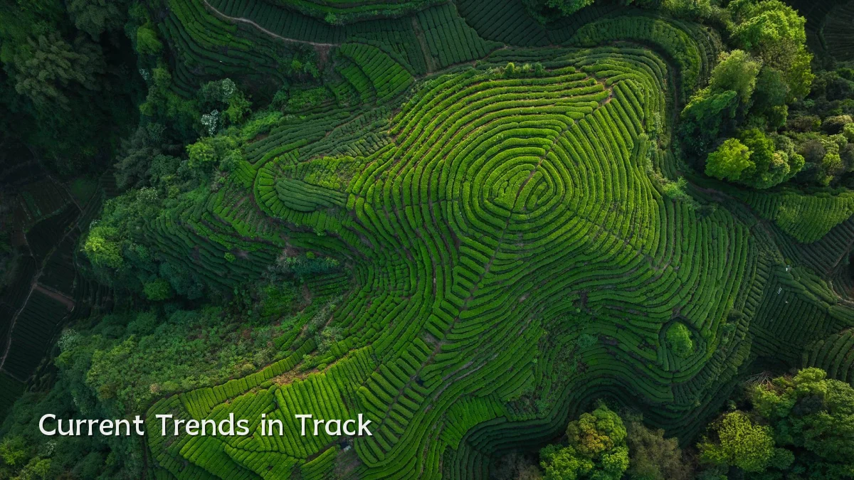 Current Trends in Track
