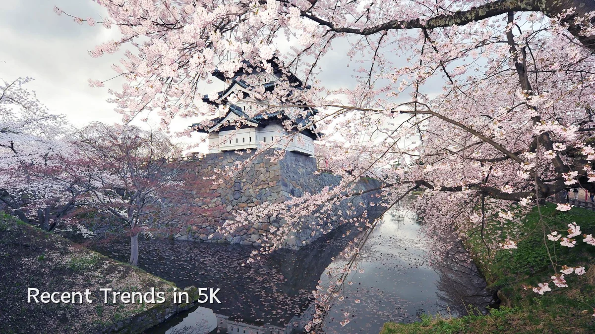 Recent Trends in 5K