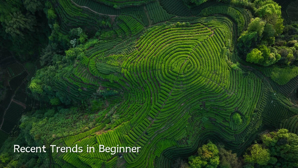 Recent Trends in Beginner