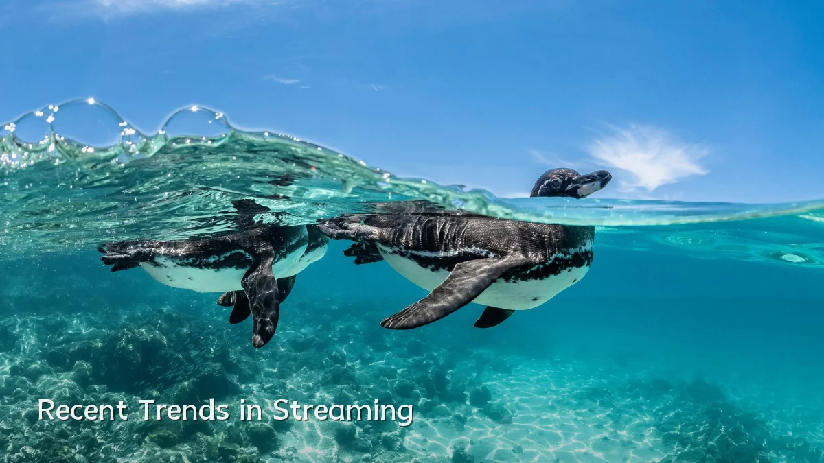 Recent Trends in Streaming