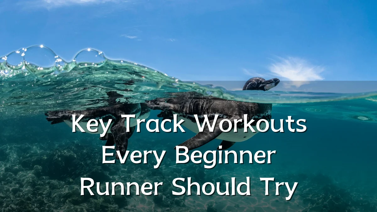 Key Track Workouts Every Beginner Runner Should Try