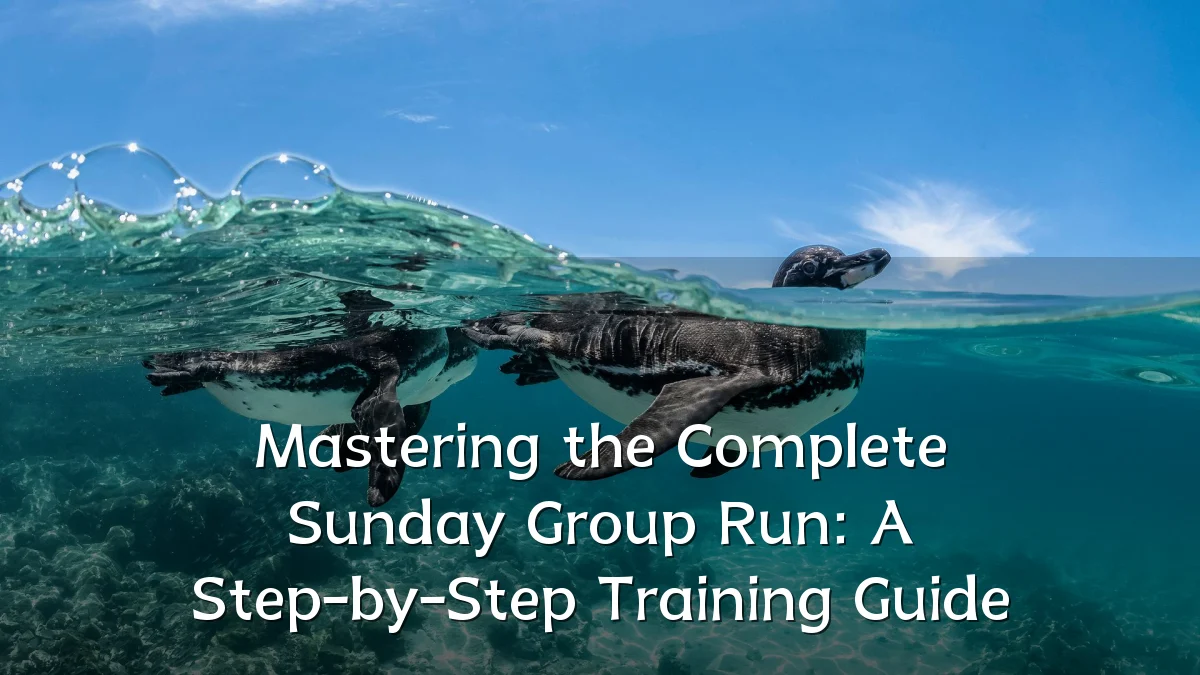 Mastering the Complete Sunday Group Run: A Step-by-Step Training Guide
