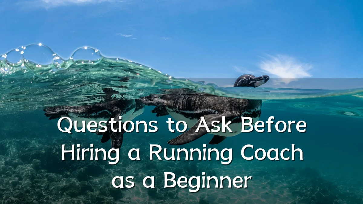 Questions to Ask Before Hiring a Running Coach as a Beginner