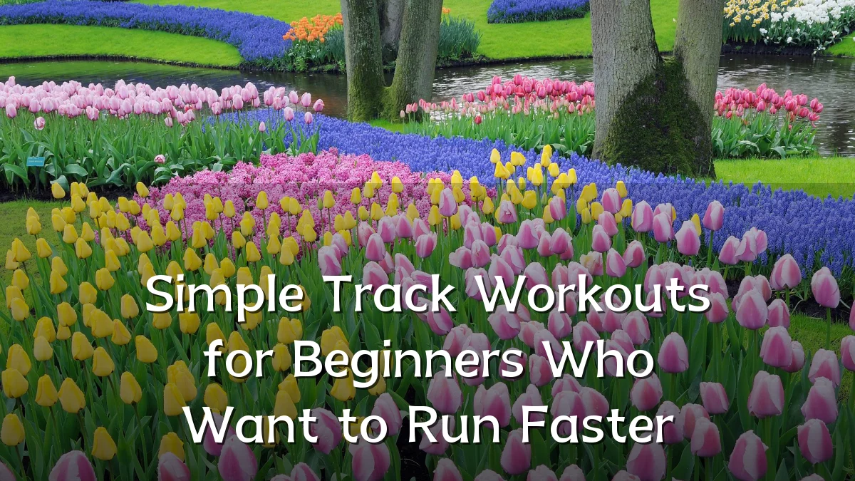 Simple Track Workouts for Beginners Who Want to Run Faster