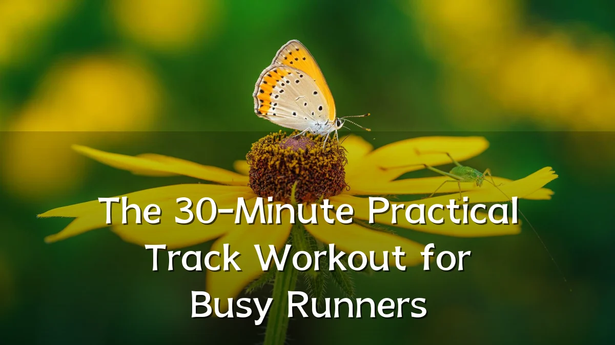 The 30-Minute Practical Track Workout for Busy Runners