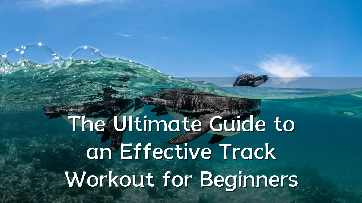 The Ultimate Guide to an Effective Track Workout for Beginners
