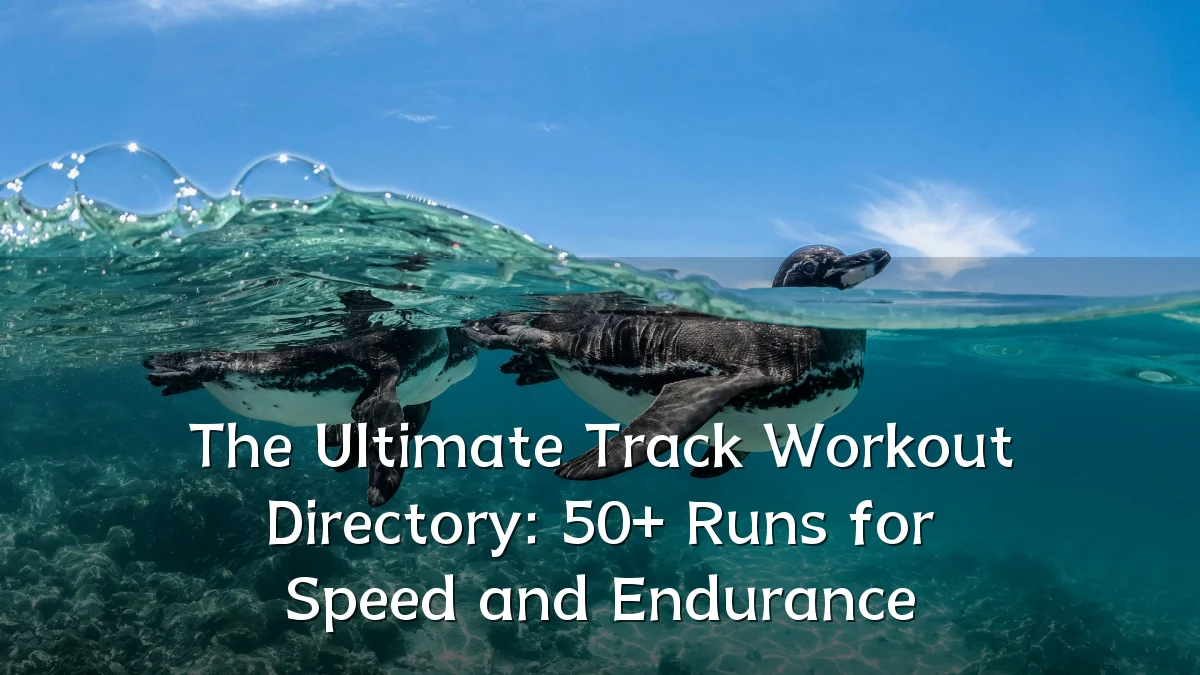The Ultimate Track Workout Directory: 50+ Runs for Speed and Endurance
